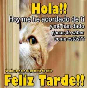 Imágenes con mensajes de buenas tardes