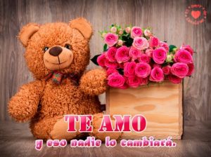9 Fantásticas Tarjetas de Feliz Cumpleaños Para Una Enamorada