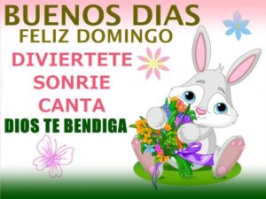 20 Hermosas Imágenes para Desear Feliz Domingo a Amigos y Familiares